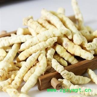 秦岭优质 地蚕 草石蚕 干石蚕 甘露儿 手工刨挖 日晒干净500g图2