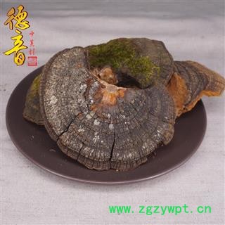 【满包邮】桑黄 统 别名桑上寄生、胡孙眼、桑黄菇、针层孔菌、梅树菌图3