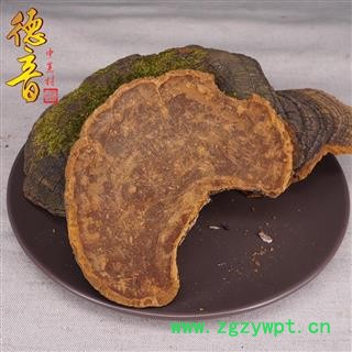 【满包邮】桑黄 统 别名桑上寄生、胡孙眼、桑黄菇、针层孔菌、梅树菌图2