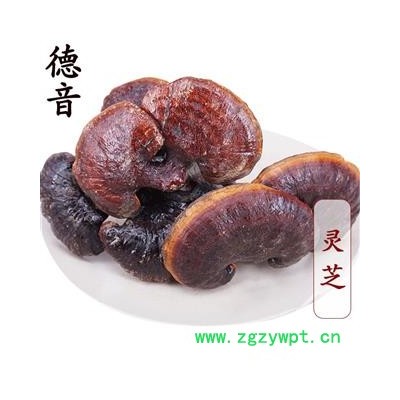 【满包邮】金边灵芝 选 产地 吉林 买好货 选德音 正品溯源 规范标准 三证齐全 全品类药材一站购齐