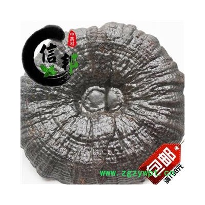 灵芝黑灵芝江西优质黑灵芝1公斤起售欢迎选购一手货源合作共赢专注品质，诚信信邦！