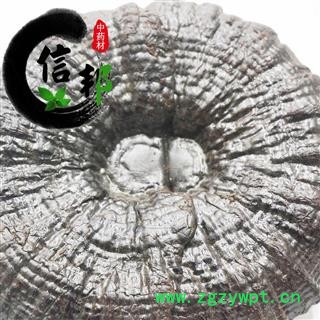 灵芝黑灵芝江西优质黑灵芝1公斤起售欢迎选购一手货源合作共赢专注品质，诚信信邦！图3