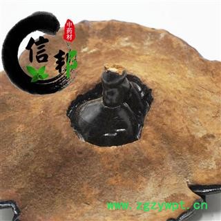 灵芝黑灵芝江西优质黑灵芝1公斤起售欢迎选购一手货源合作共赢专注品质，诚信信邦！图4