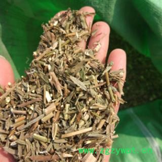 安祁名药山西柴胡  柴胡苗 新货无硫图2