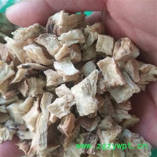 安祁名药正品菊苣根  苦菊图2