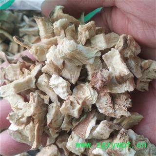 安祁名药正品菊苣根  苦菊图3
