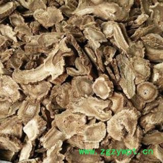 安祁名药广木香  云木香 优质新货 实物拍摄图2