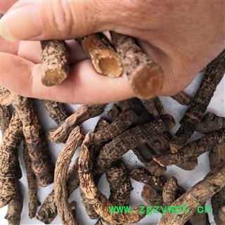 安祁名药中药材血三七图2
