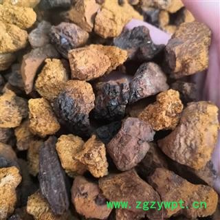 新辉药业白桦茸 纸筒精装100克/瓶图3