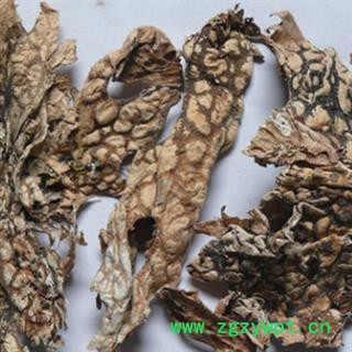 新辉药业正品老龙皮 网肺衣图2