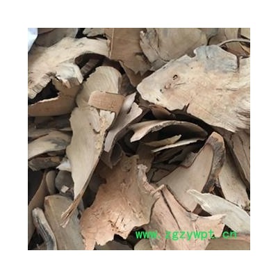 安祁名药中药材茶树根  老茶树根