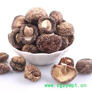 香菇全干货正品保证质量7天无理由退货退款 中药材批发 丽丽药业图3