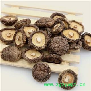 香菇全干货正品保证质量7天无理由退货退款 中药材批发 丽丽药业图4