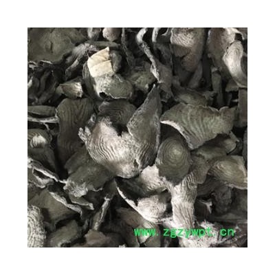 安安祁名药正品紫茉莉根 入地老鼠