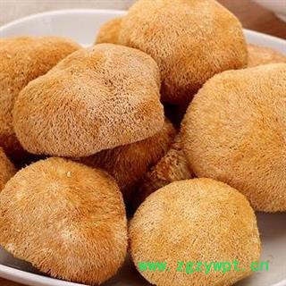 猴头菌 猴头菇正品保证质量 7天无理由退货退款 中药材批发 丽丽药业图2