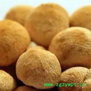 猴头菌 猴头菇正品保证质量 7天无理由退货退款 中药材批发 丽丽药业图4