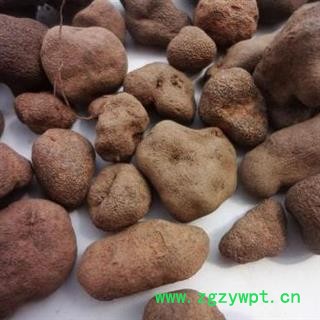 雷丸 正品保证质量7天无理由退货退款 安品堂图3