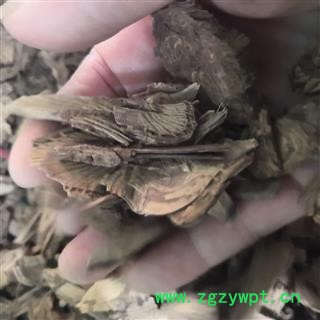 安祁名药山胡椒根  胡椒根图2