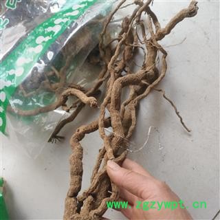安祁名药正品山胡椒根 原生态无硫图2