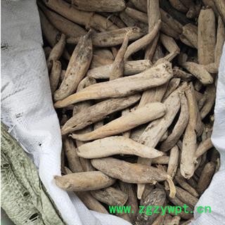 安祁名药紫茉莉花根 茉莉花根  入地老鼠图2