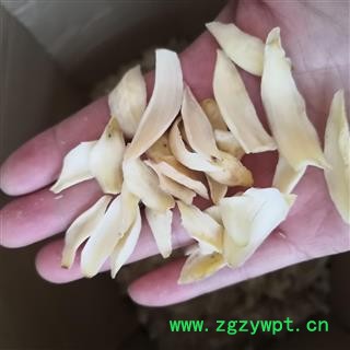 安祁药业百合 龙牙百合 药食同源无硫新货图3