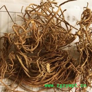 安祁名药正品大火草根 野棉花根 土白头翁图2