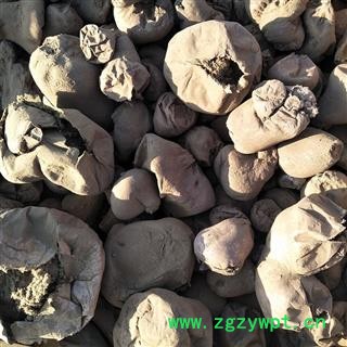 马勃 白马勃正品保证质量7天无理由退货退款 安品堂图4