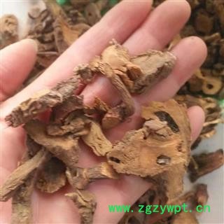 安祁名药正品土大黄  羊蹄根  野大黄 牛耳大黄图2