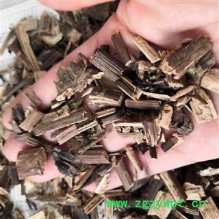 安祁名药正品九子连环草  珠串珠 夜白鸡 九节虫 串白鸡 硬九头狮子草图3