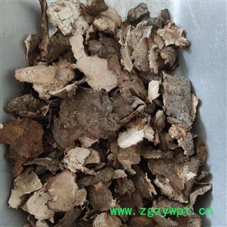 茯苓皮  茯苓皮统装 发货前过筛干净 产地 安徽省图2