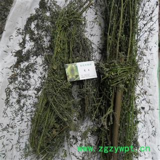 山菜子 统货 产地 四川省成都市双流县图2