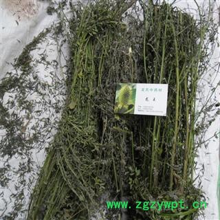 山菜子 统货 产地 四川省成都市双流县图3