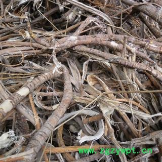 桑白皮 统 产地 四川省成都市双流县 库存 100公斤可售图4