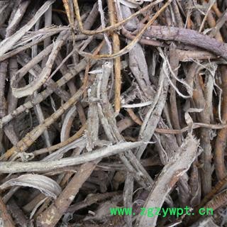 桑白皮 统 产地 四川省成都市双流县 库存 100公斤可售图2