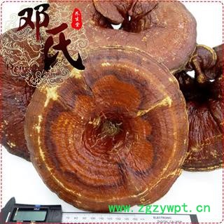 大个红灵芝无苦味选货1公斤起批散装批发产地直供邓氏中药材批发图2