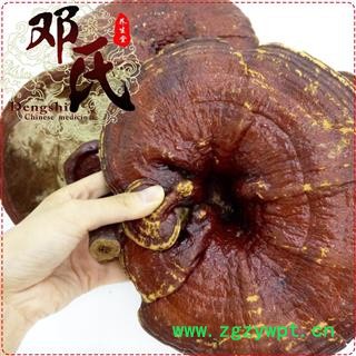 大个红灵芝无苦味选货1公斤起批散装批发产地直供邓氏中药材批发图3
