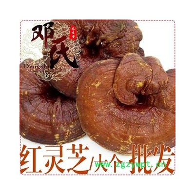 大个红灵芝无苦味选货1公斤起批散装批发产地直供邓氏中药材批发