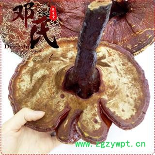 大个红灵芝无苦味选货1公斤起批散装批发产地直供邓氏中药材批发图4