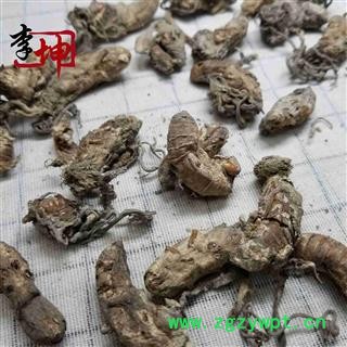 【包邮有大货】金蝉花选货 野生 金蝉花 土蝉花  正品蝉花 蝉蛹大虫草图3