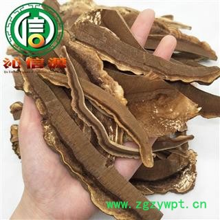 【满包邮】灵芝片大片统货散装吉林产地直供赤灵芝片 红灵芝片沁信源中药材批发图3
