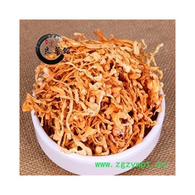 大米培育虫草花排选货产地内蒙 大包子头金虫草花100欧克