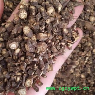 安祁名药野生柴胡 黑柴胡 野生正品够含量图2