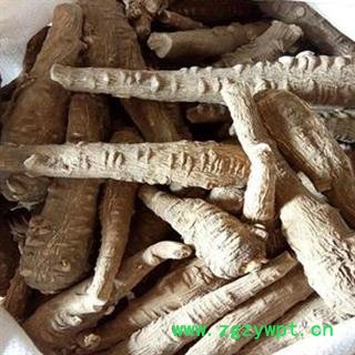 安祁名药白芷 川白芷 另有祁白芷图3