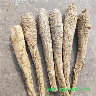 安祁名药白芷 川白芷 另有祁白芷图2