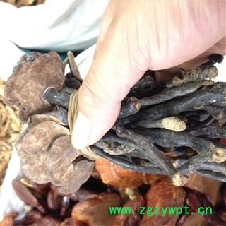 灵芝 个 产地 山东省图2