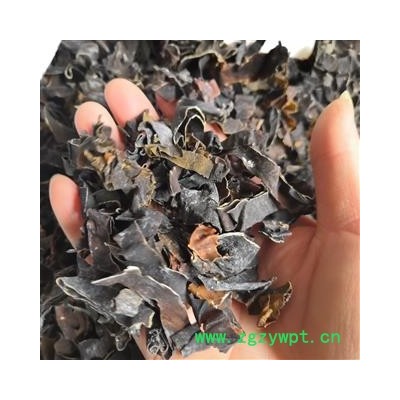 新辉药业中药材昆布  水洗昆布