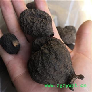 新辉药业乌灵参  雷震子 乌丽参图2