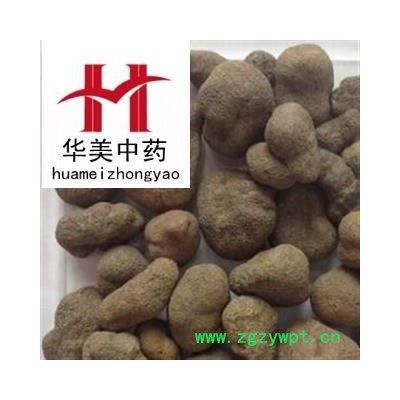 雷丸 雷丸统货 产地 云南省 华美中药 产地直销 重在品质