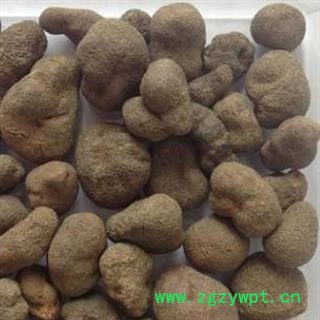 雷丸 雷丸统货 产地 云南省 华美中药 产地直销 重在品质图2