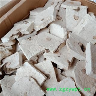 茯神大统货片片见神正品保证实图拍照 中药材批发 丽丽药业图2